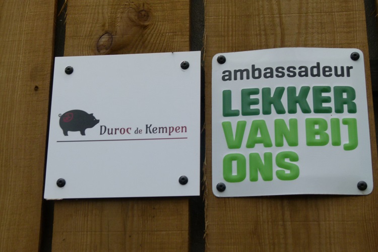 Vlaamse varkenshouderij is geen eenheidsworst meer