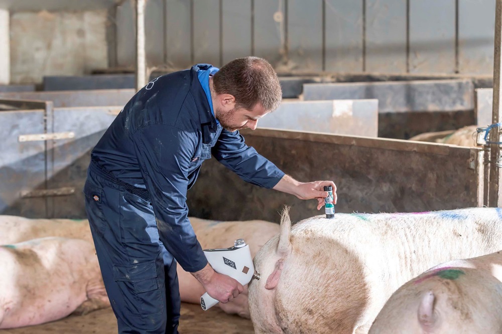 Vaccineren aangenamer maken voor u en uw zeug 28212