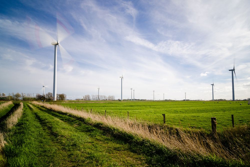 Europese Green Deal: impact op landbouw- en voedingssector